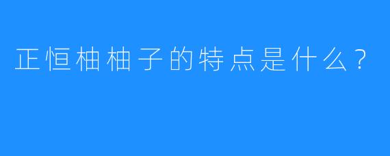 正恒柚柚子的特点是什么？