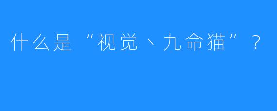 什么是“视觉丶九命猫”？