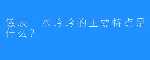 傲辰-水吟吟的主要特点是什么？