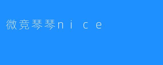 微竞琴琴nice