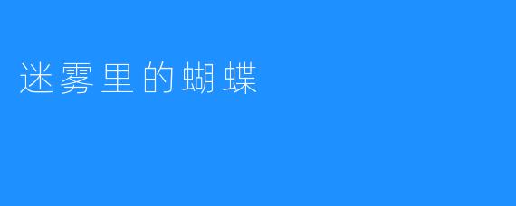 迷雾里的蝴蝶