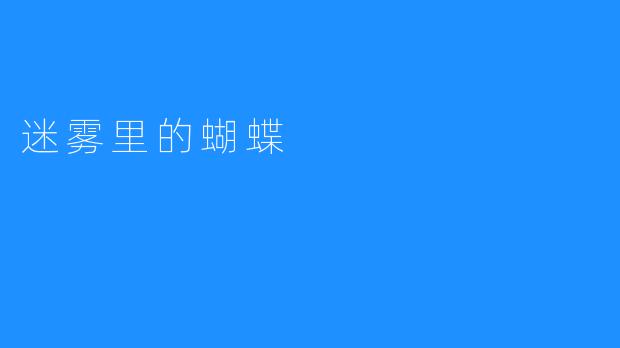 迷雾里的蝴蝶