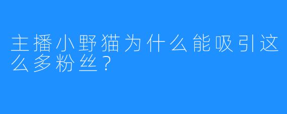 主播小野猫为什么能吸引这么多粉丝？