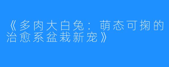 《多肉大白兔：萌态可掬的治愈系盆栽新宠》