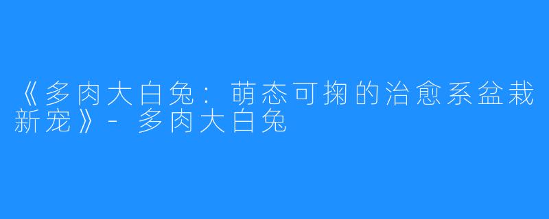 《多肉大白兔：萌态可掬的治愈系盆栽新宠》-多肉大白兔