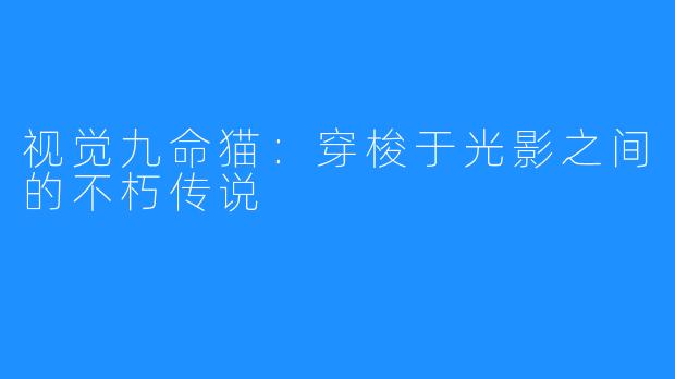 视觉九命猫：穿梭于光影之间的不朽传说